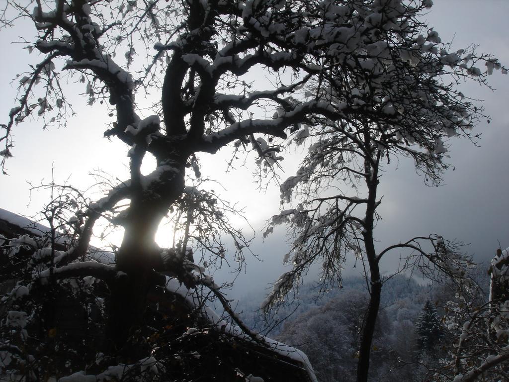 Bnb Hasatrog Jenaz Exteriér fotografie